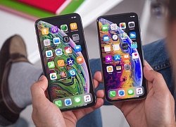 Khảo sát: Fan Apple không mong đợi iPhone 2019 và sẵn sàng "chi tất tay" cho iPhone 5G ra mắt vào năm sau