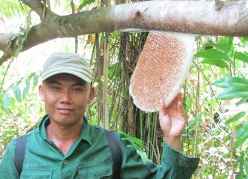 Ly kỳ 'cao thủ' lội sình rừng ngập đối mặt với 'hung thần' ong vò vẽ