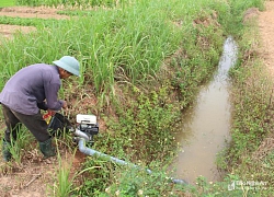 Nghệ An: Nắng nóng, hồ đập trơ đáy, ruộng đồng nứt nẻ