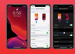 Người dùng có thể cập nhật iOS 13 Public Beta đơn giản vào 13 tháng 7