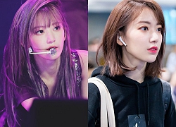 Nhiều thành viên IZ*ONE cùng đổi kiểu tóc nhưng người được khen nhiều nhất lại là Sakura