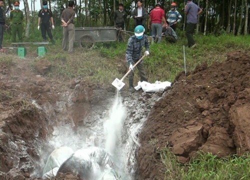 Thông tin thống kê về dịch bệnh, sâu hại nông nghiệp còn chênh lệch