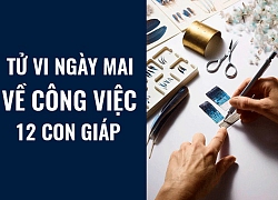 Tử vi ngày mai (8/6/2019) về công việc của 12 con giáp: Tuổi Tuất có định hướng rõ ràng