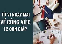 Tử vi ngày mai (9/6/2019) về công việc của 12 con giáp: Tuổi Hợi nhìn thấy những hướng đi mới