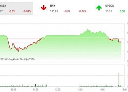 Chứng khoán ngày 11/6: VN-Index quay đầu giảm nhẹ