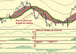 Cổ phiếu công ty "thịt thực vật" Mỹ tăng hơn 600% sau IPO