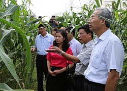 Lạng Sơn: Những chuyển biến tích cực trong học tập và làm theo Bác