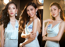 Miss World Vietnam: Đặc cách thí sinh vào thẳng Vòng Chung kết toàn quốc