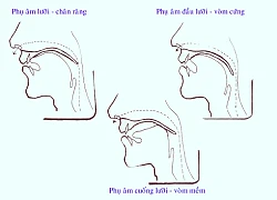 Ngộ nhận về học khẩu hình trong tiếng Anh