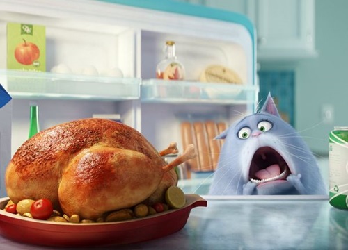 Review 'The Secret Life of Pets': Trong sáng, hài hước và dễ thương khó cưỡng