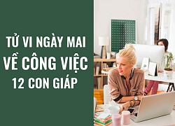 Tử vi ngày mai (10/6/2019) về công việc của 12 con giáp: Tuổi Tý mất cân bằng trong cuộc sống