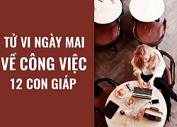 Tử vi ngày mai (11/6/2019) về công việc của 12 con giáp: Tuổi Sửu thẳng thắn thể hiện quan điểm