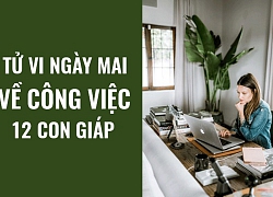 Tử vi ngày mai (12/6/2019) về công việc của 12 con giáp: Tuổi Dần sẵn sàng để lắng nghe và góp ý