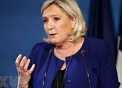 Bà Le Pen sẽ phải hầu tòa vì đăng hình ảnh bạo lực của IS lên Twitter