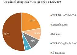 Chứng khoán Bản Việt (VCSC) trở thành cổ đông lớn của SCR