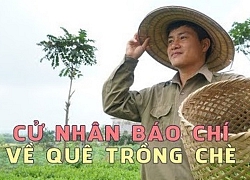 Cử nhân báo chí về quê trồng chè, ướp sen giá gần 10 triệu mỗi cân