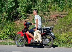 Dân xúm lại 'hôi vịt' trên xe tải bị lật ở Quảng Bình: Công an vào cuộc điều tra