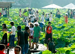 Khi mông, ngực cô gái chụp nude ở hồ sen bị mang ra làm "mồi nhậu" trên MXH: Lời cay nghiệt vốn không thể ném bừa!