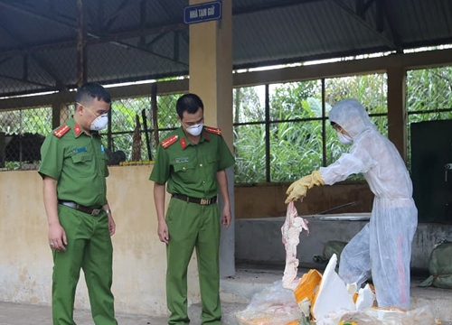 Kinh khủng: Lạng Sơn bắt 6 tạ nầm lợn nhập lậu ướp hóa chất bốc mùi