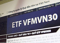 Liên tục phát hành chứng chỉ quỹ, quy mô danh mục quỹ ETF nội VFMVN30 đã ngang ngửa FTSE Vietnam ETF