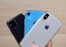 Nhà sản xuất phụ kiện xác nhận: iPhone 11 sẽ có 3 camera