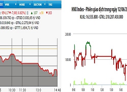 Nhiều mã lớn giảm sâu, VN-Index mất gần 8 điểm