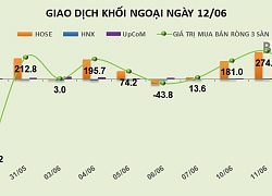 Phiên 12/6: Giảm mạnh giao dịch, khối ngoại chuyển sang bán ròng nhẹ 21 tỷ đồng