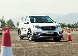 Thị trường xe hơi tháng 5-2019: Vios trở lại "ngôi vương", CR-V vào top 5