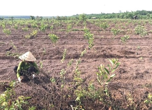 Thực hiện công trình chào mừng kỷ niệm 90 năm Ngày thành lập CĐVN