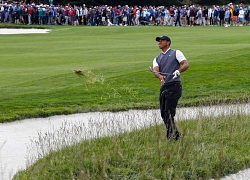 Tiger Woods khởi đầu thất vọng tại US Open 2019