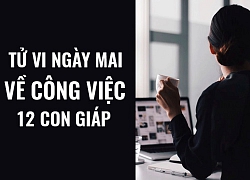 Tử vi ngày mai (13/6/2019) về công việc của 12 con giáp: Tuổi Mão tôi luyện ý chí