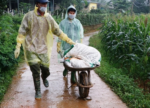 Yên Bái: Dịch tả lợn châu Phi lây lan sang huyện Trấn Yên và Văn Chấn