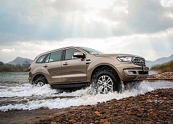 Ford Everest thiết lập kỷ lục mới, đạt doanh số tháng cao nhất trong lịch sử