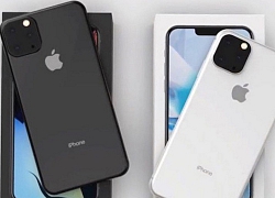 Giới phân tích bi quan về triển vọng của iPhone 11, tin rằng thế hệ iPhone năm nay không đáng để chờ đợi