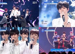 Kẻ rò rỉ BXH các thực tập sinh trong 'Produce X 101' bị bắt và công khai xin lỗi