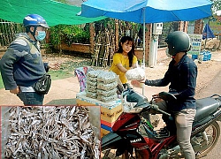 Săn loài cá bé li ti ngon nức tiếng trên lòng hồ thủy điện Trị An