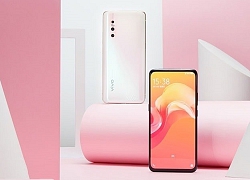 Vivo X30 và Y19 bị phát hiện trong hồ sơ thương hiệu