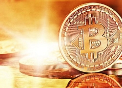 Bitcoin từ 'đáy' đang hồi sinh