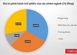 Các ngân hàng dẫn đầu trong cuộc đua phát hành trái phiếu