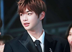 Công ty giải trí mới của Kang Daniel gặp gỡ nhà phân phối âm nhạc: Màn debut solo của &#8216;center quốc dân&#8217; đã rất gần kề