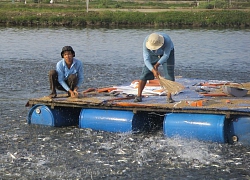 Hôm nay, Thủ tướng chủ trì hội nghị về phát triển bền vững ĐBSCL