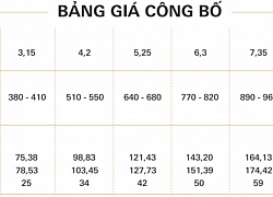 HSBC Việt Nam cho vay ưu đãi lắp đặt điện năng lượng mặt trời