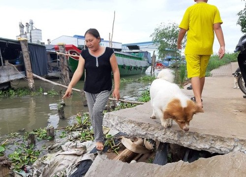 Nửa đêm, 3 căn nhà bất ngờ lọt... kênh!