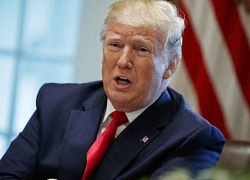 Ông Trump sẽ trục xuất hàng triệu người nhập cư vào đầu tuần tới