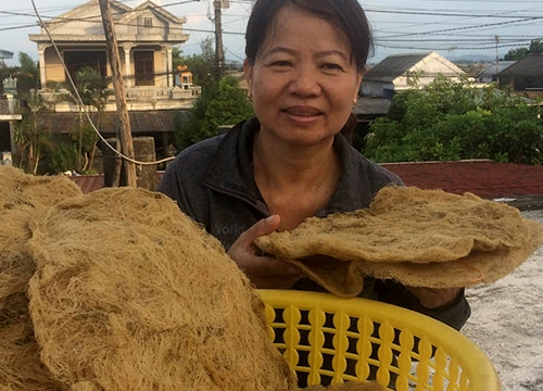 Sau sơ chế thứ "lộc biển" này tăng giá gấp hơn 20 lần dạng thô