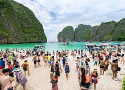 Xem múa lửa, ngắm cá mập ở đảo ngọc Koh Phi Phi