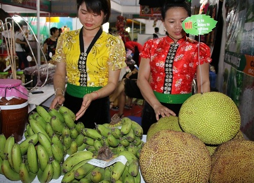 8.679 tấn trái cây xuất ngoại, nông dân Sơn La thu tiền tỷ