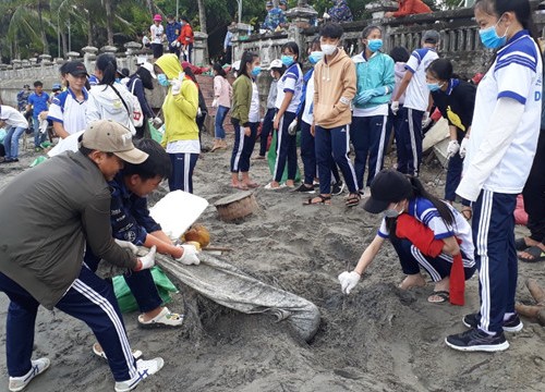 Cả đảo ngọc Phú Quốc ra quân dọn rác hàng tháng