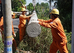 Chủ động ứng phó và khắc phục sự cố lưới điện do mưa bão