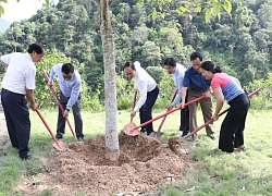 Cơ quan Văn phòng Đoàn Đại biểu Quốc hội và HĐND TP Hà Nội: Học tập và làm theo Bác